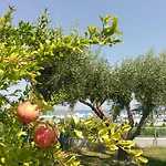 Apartamento Iphigenia *