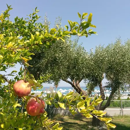 Appartement Iphigenia *