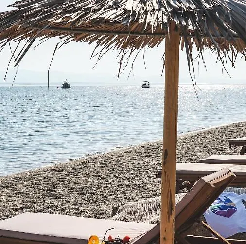 Iphigenia アパート *