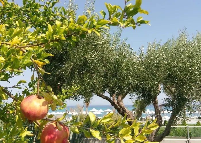 Lägenhet Iphigenia *